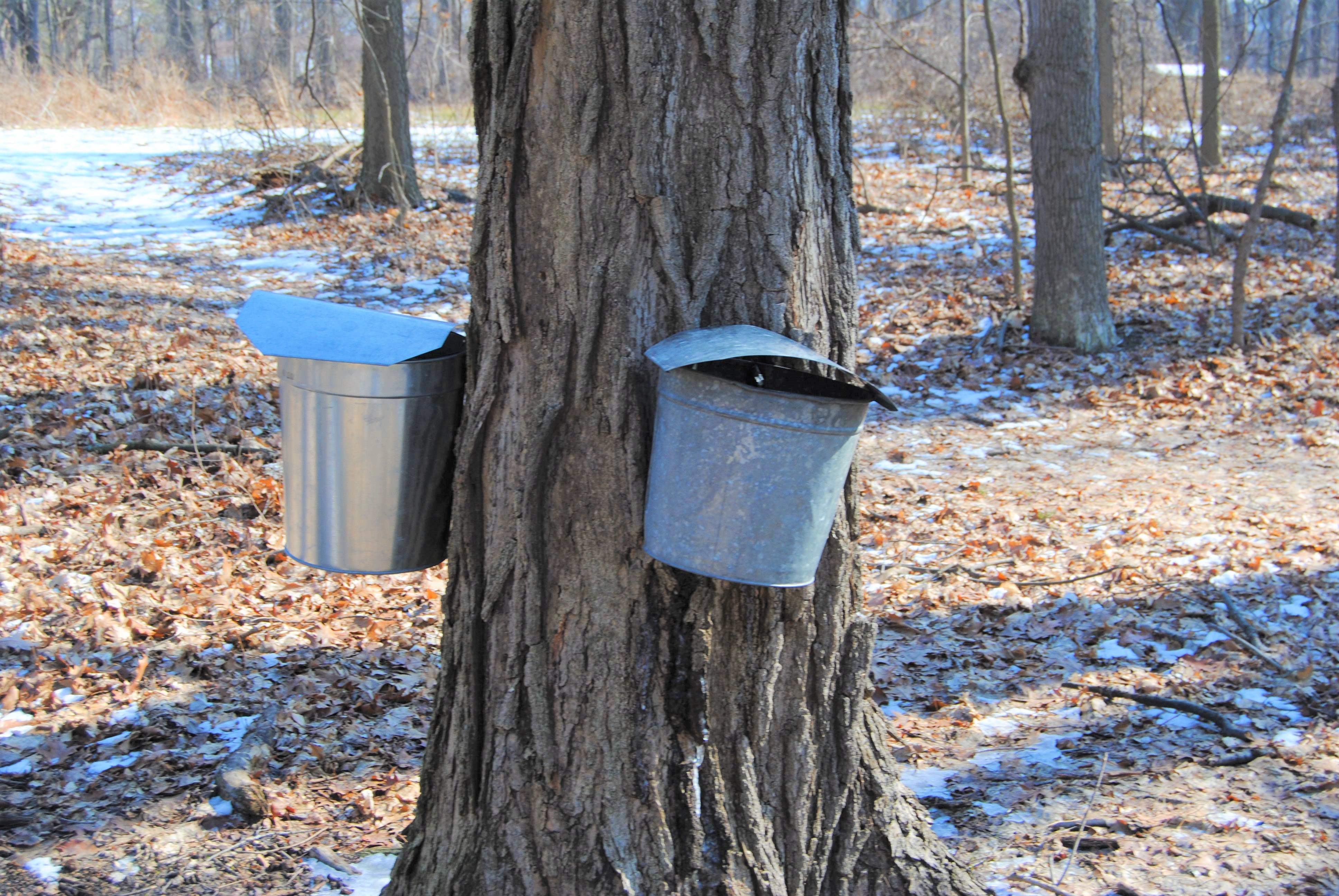 Environmental Interpretive Center University of MichiganDearborn